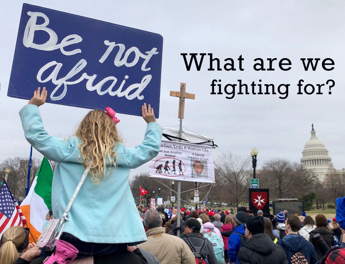 Should Christians Fight the Culture&nbsp;War?