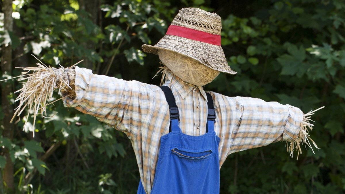 Straw Man — Logical Fallacies From a Biblical&nbsp;Perspective